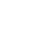Fundación Chile
